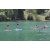 paddle-2_516054179