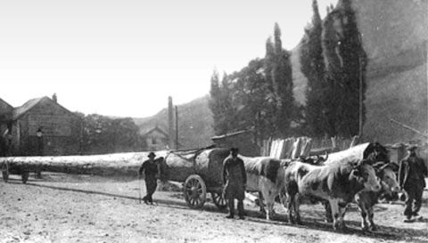 Charroi sur les bords de la Durance